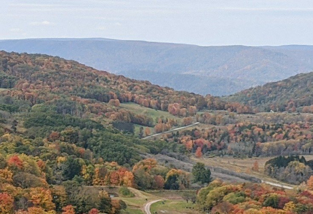 West Virginia Public Adjusters