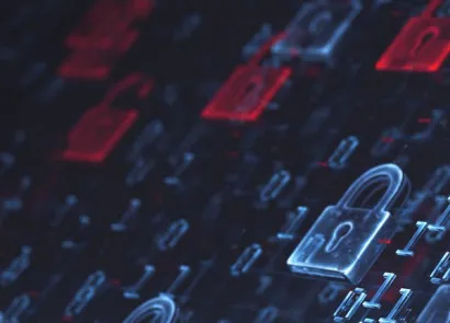 cyber panel