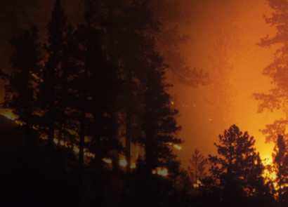 Wildfire Consuming a Forest